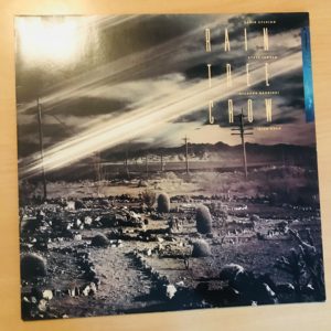 RAIN TREE CROW - Rain Tree Crow